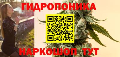 спайс Кинель