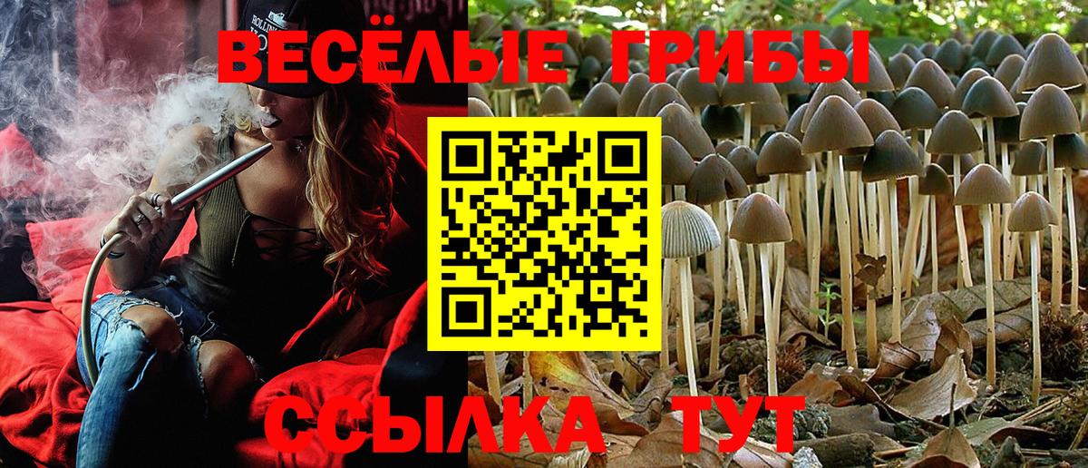 Псилоцибиновые грибы мухоморы  Галлюциногенные грибы мухоморы  Вход с VPN  Бугуруслан 