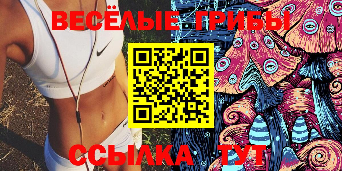 Галлюциногенные грибы Psilocybine cubensis Бугуруслан
